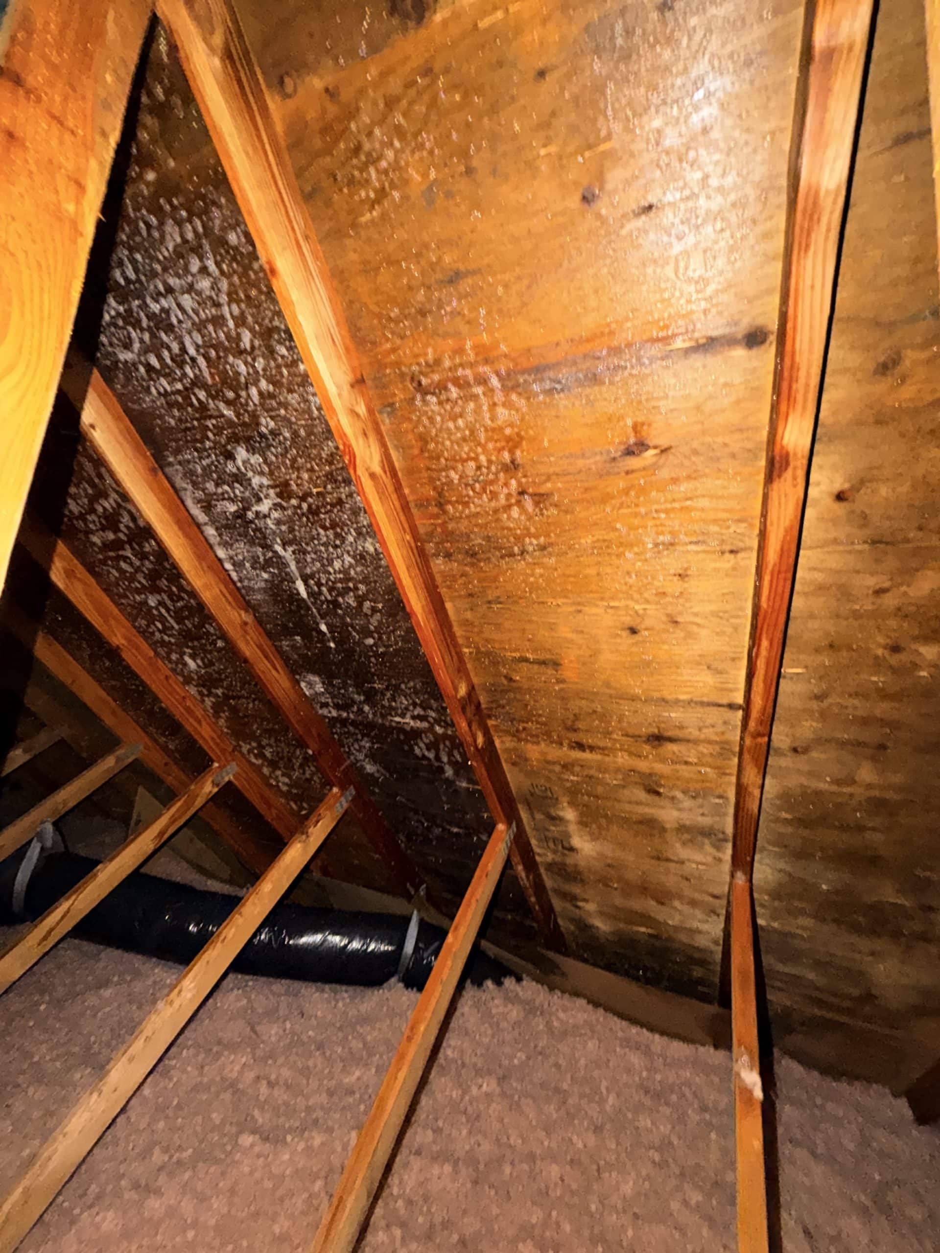 Attic mold on roof sheathing